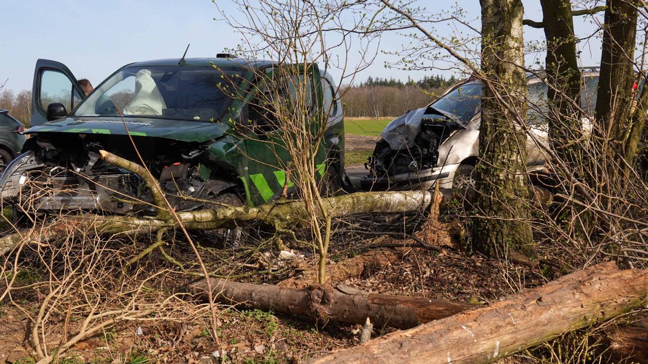 Foto: Harrie Grijseels/Persbureau Heitink.