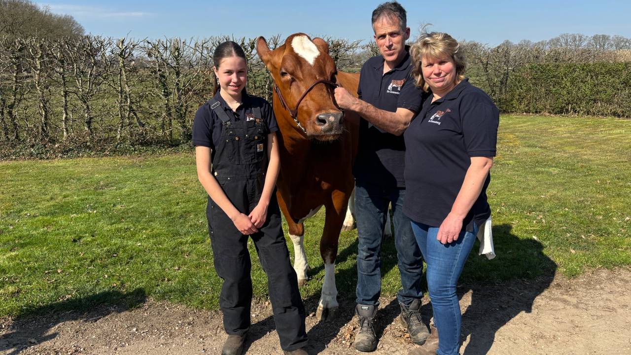 Lieve met haar ouders en koe Pieta (foto: Thijs den Ouden).
