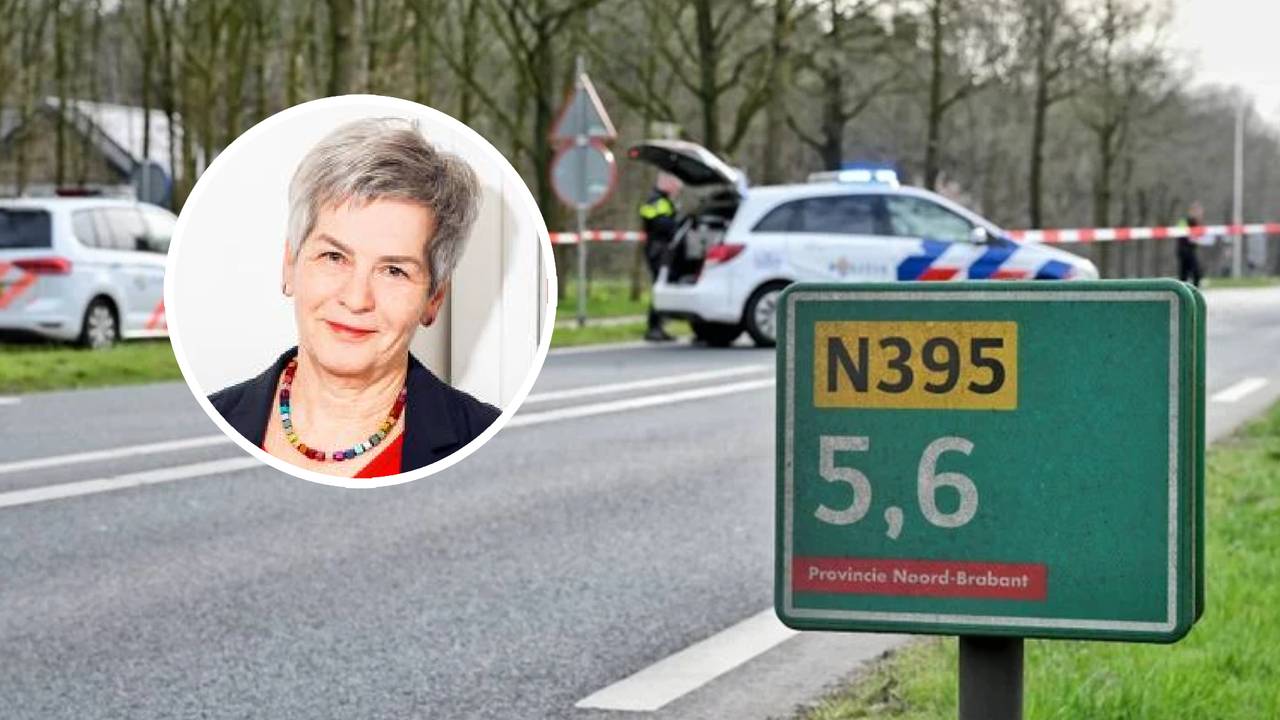 Riet Fiddelaars-Jaspers (in het rondje, foto: Hilde Harshagen. Op de achtergrond de plek van het ongeval op de N395, foto: Persbureau Heitink).