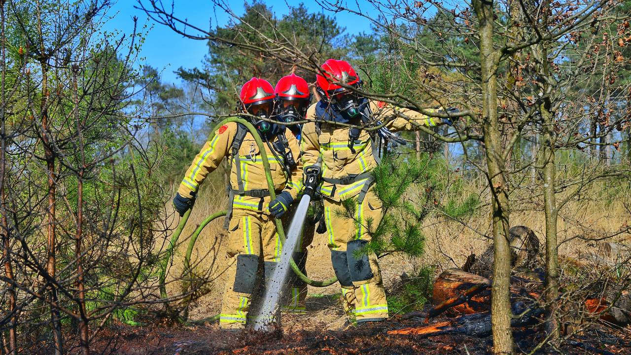 Foto: Rico Vogels/Persbureau Heitink.