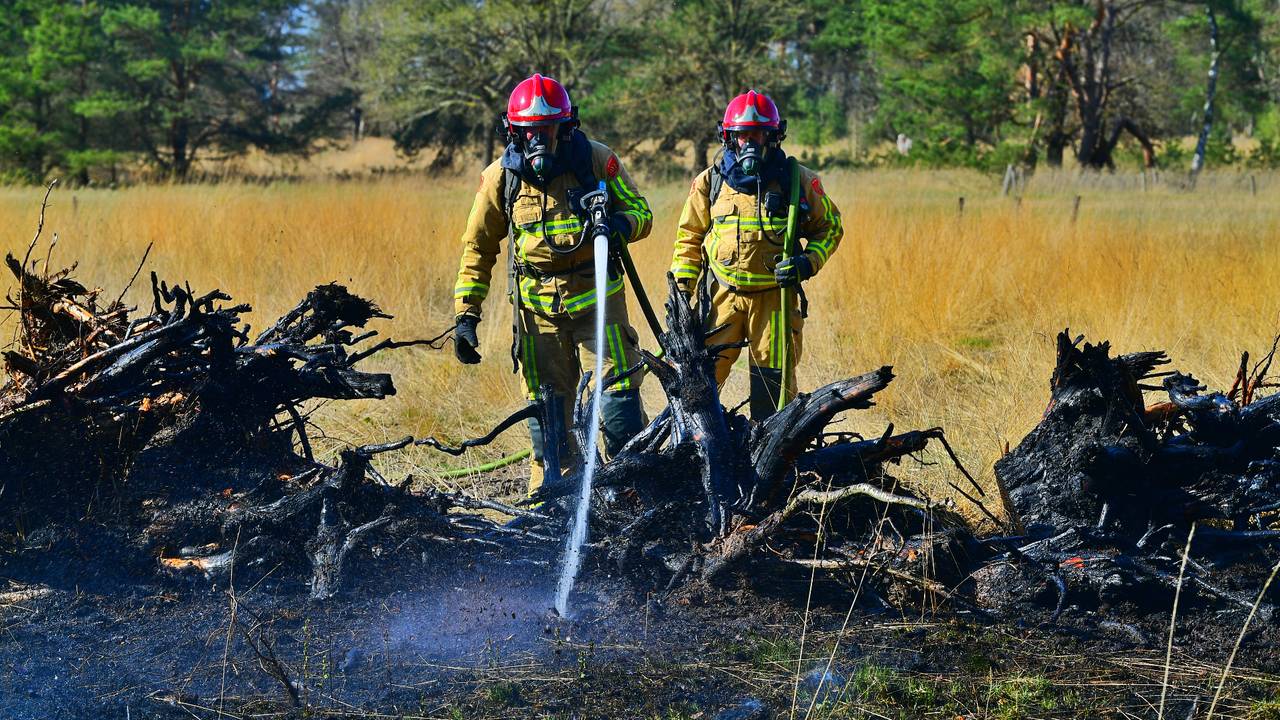 Er is een natuurbrand uitgebroken in Budel (foto: Rico Vogels/Persbureau Heitink).