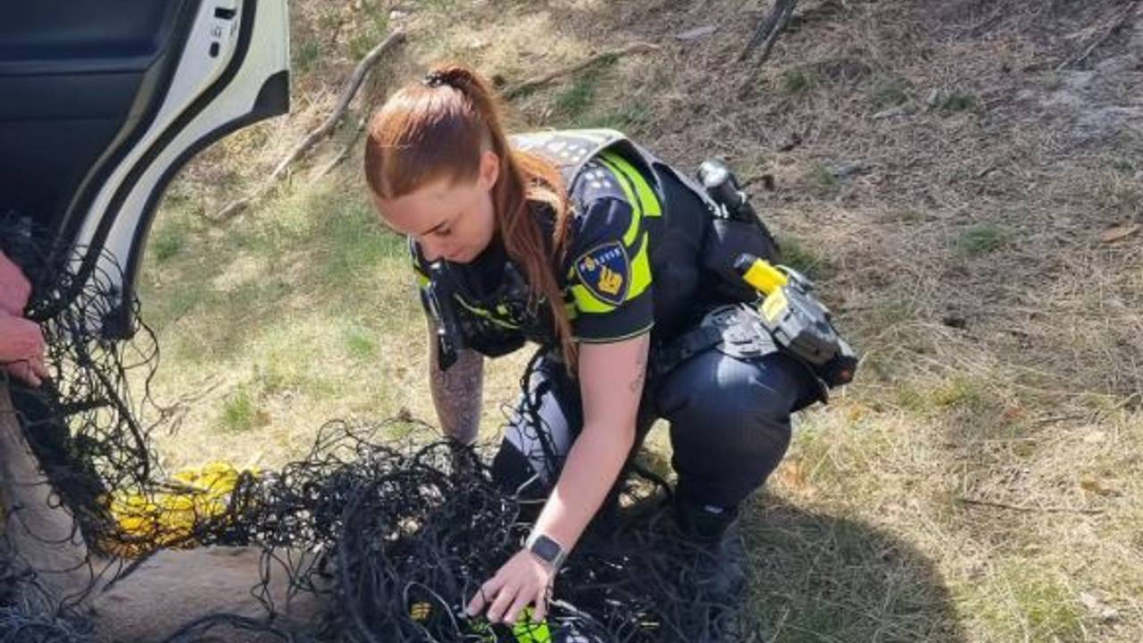 Foto: Instagram politie Best-Oirschot.