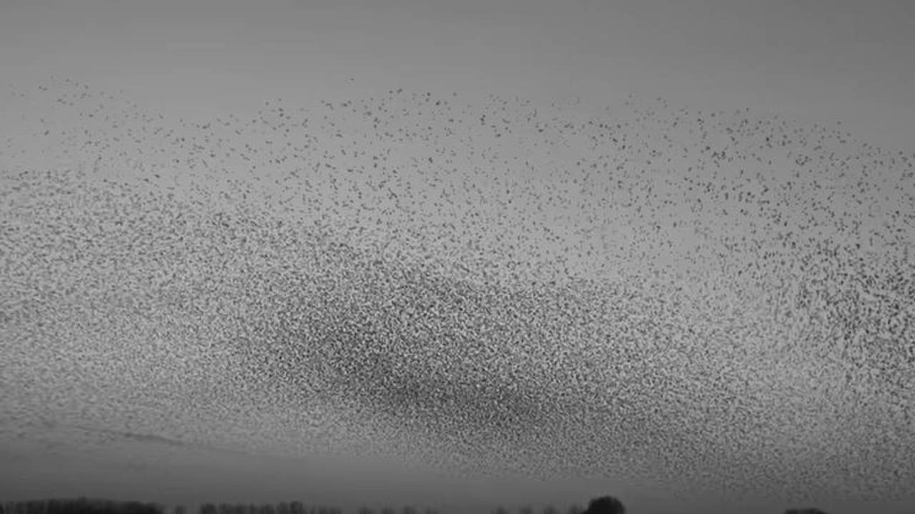 Afbeelding: YouTube National Geographic.