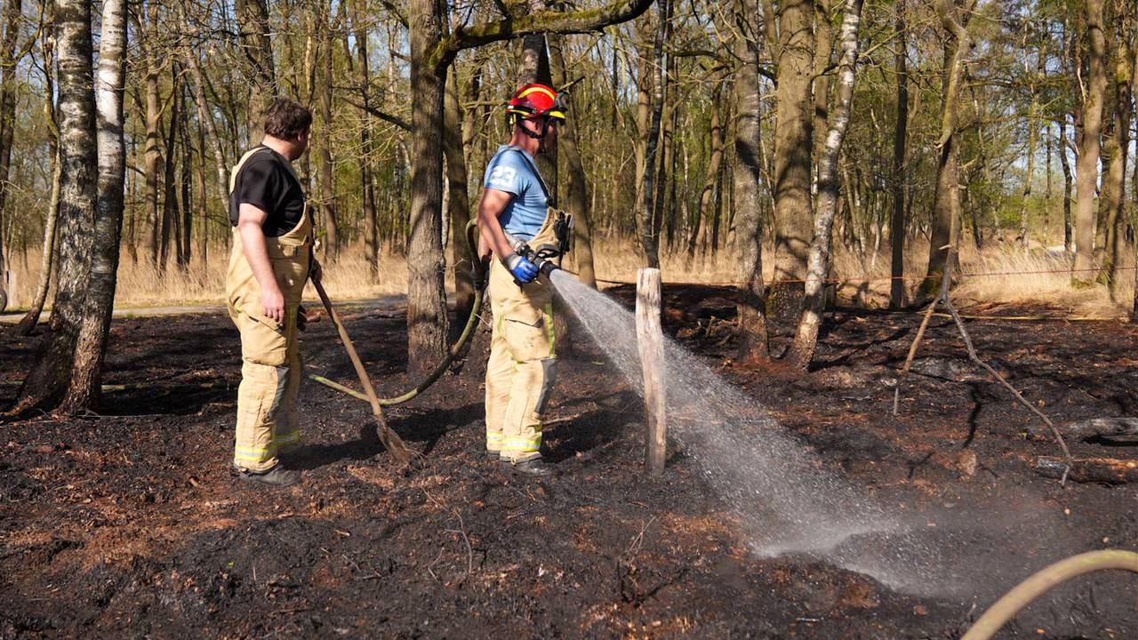 Foto: Harry Grijseels