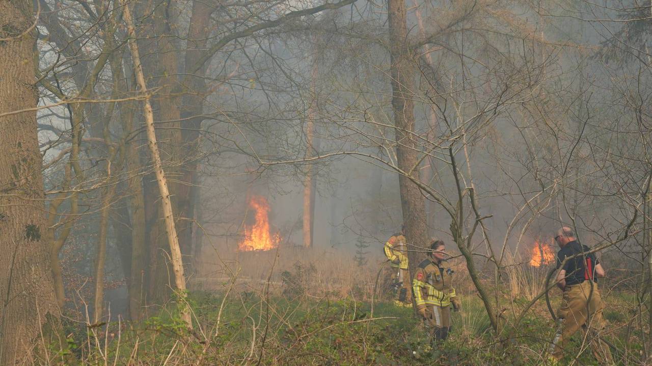 Foto: Erik Haverhals/Persbureau Heitink