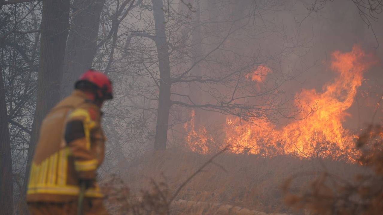 De bosbrand in Drunen (foto: Erik Haverhals/Persbureau Heitink).