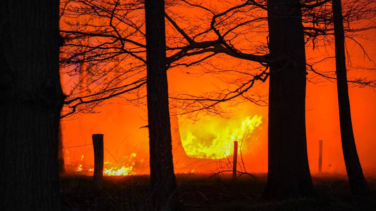 Foto: Persbureau Heitink