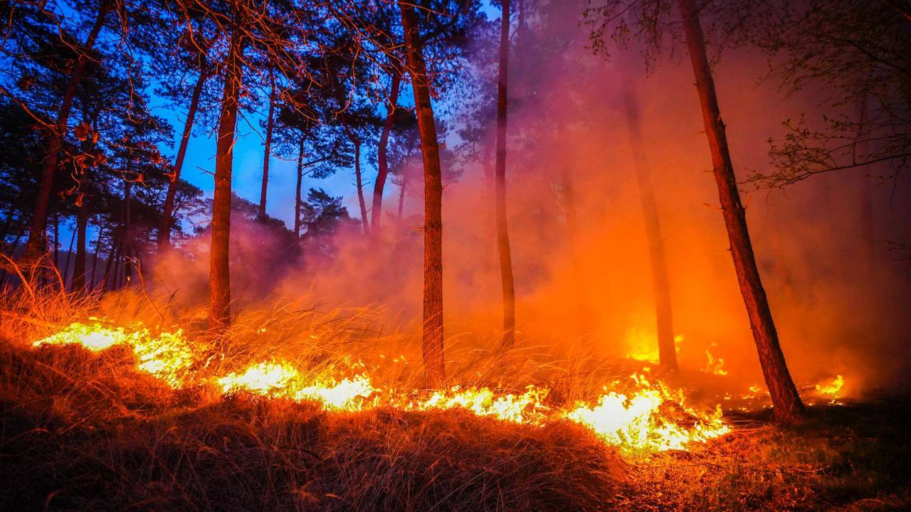 Foto: Persbureau Heitink