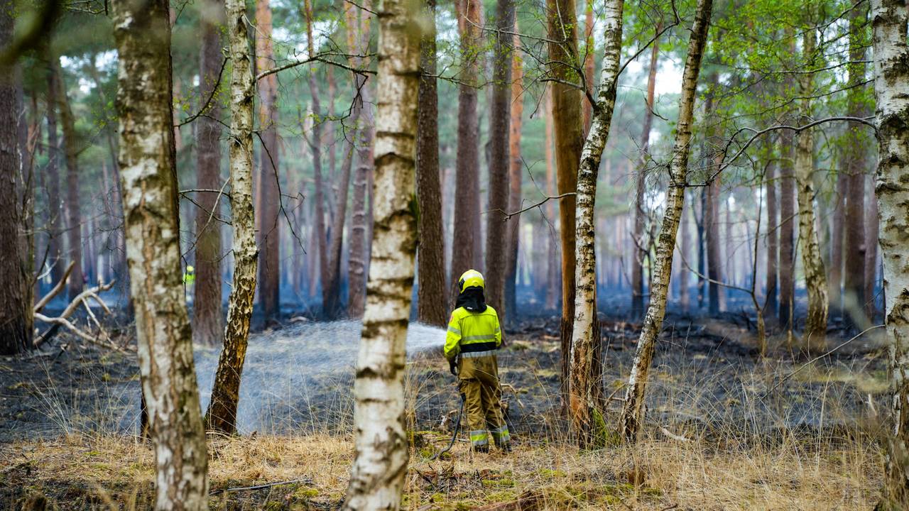 Foto: Erik Havershals/Persbureau Heitink.