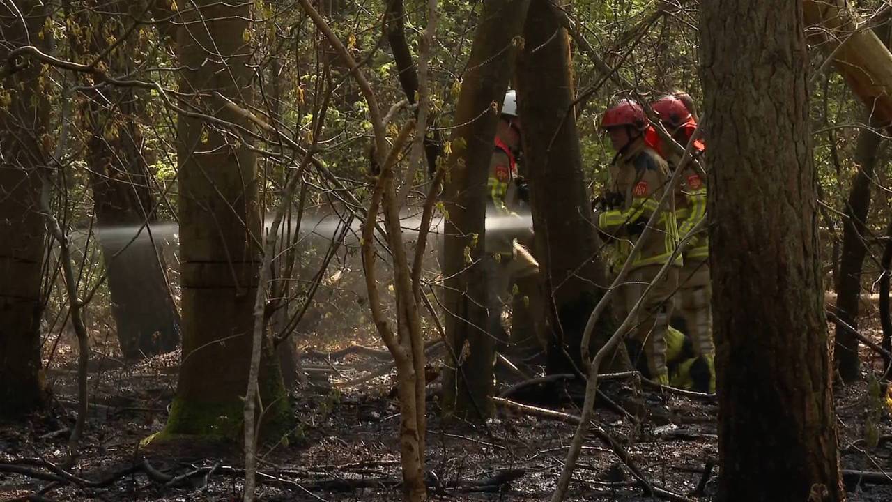 Foto: Remco de Ruijter/Persbureau Heitink.