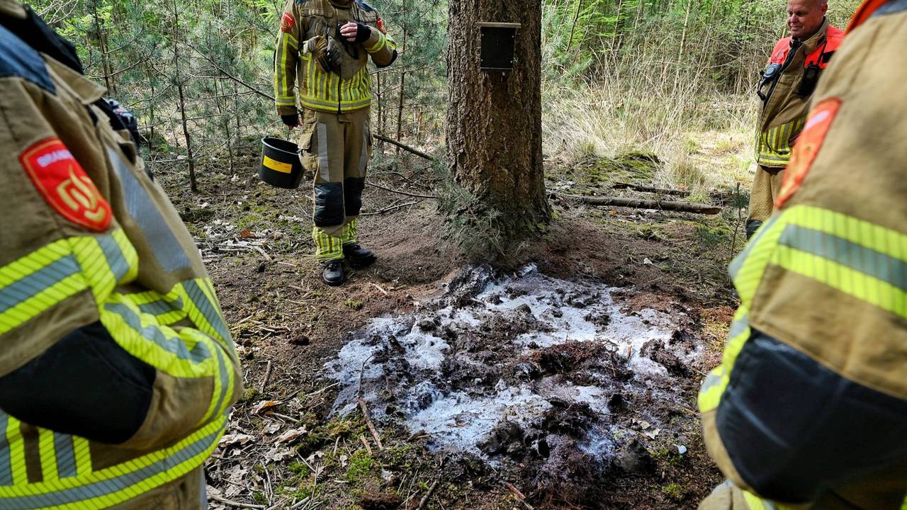 Foto: Toby de Kort/Persbureau Heitink.