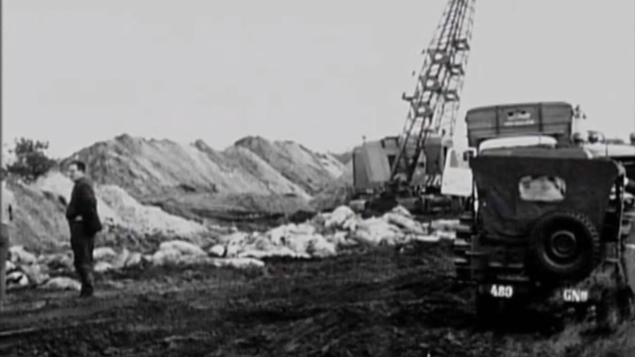 Het begraven van varkens in de bossen bij Sint Anthonis (foto: Heemkundekring Boekel-Venhorst).
