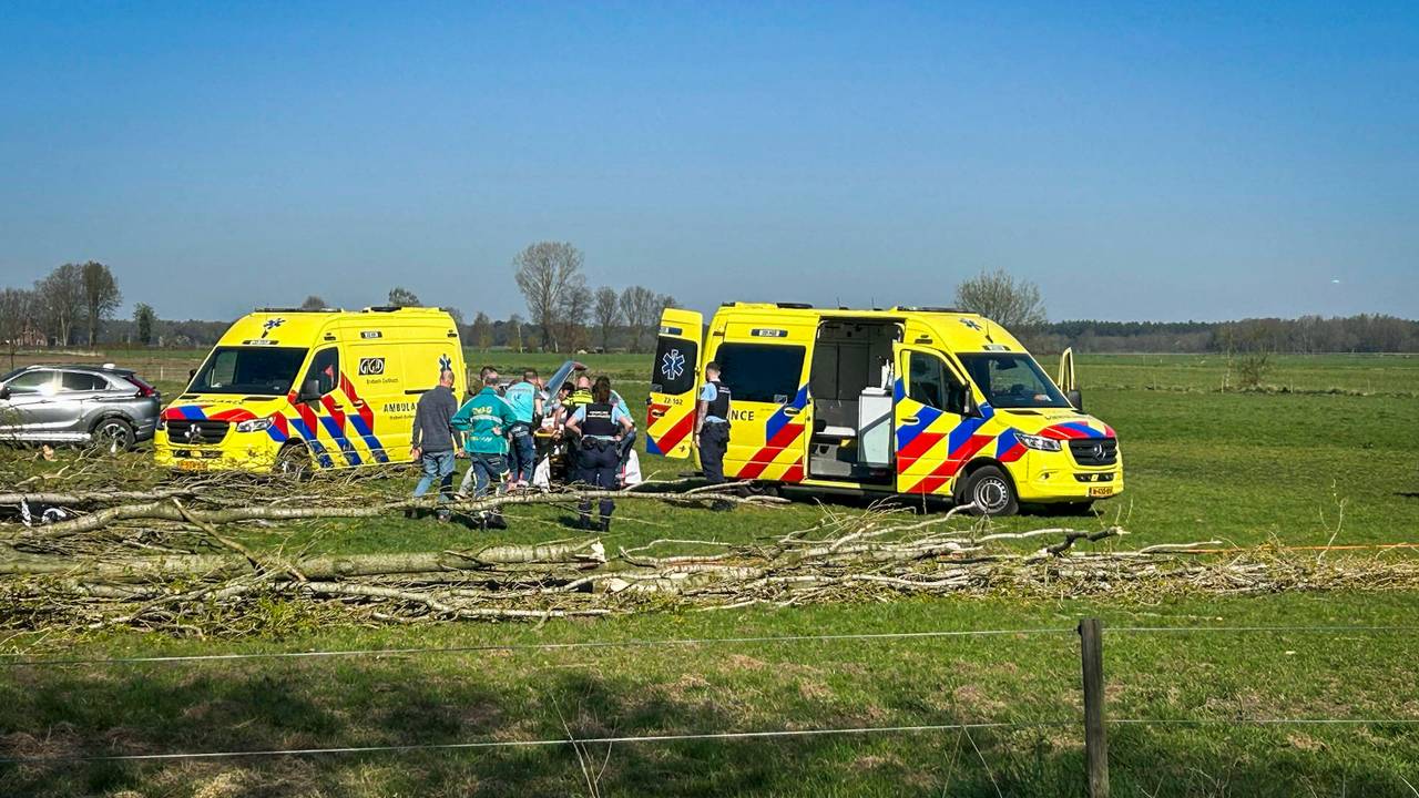 Man komt onder omgezaagde boom terecht (foto: Persbureau Heitink)