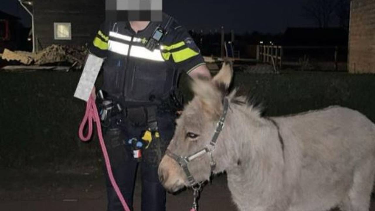 Foto: Instagram politie Den Bosch.