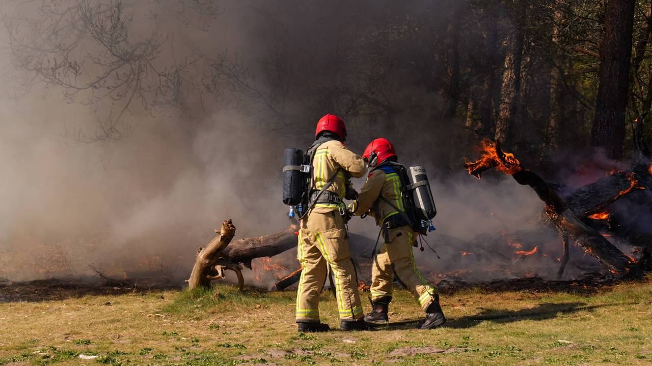 Foto: Harrie Grijseels/Persbureau Heitink. 