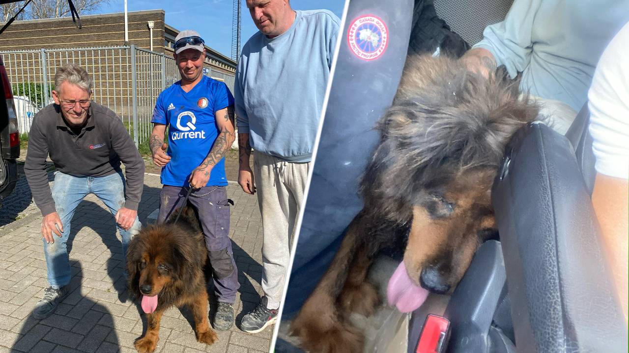 Foto's: Henri Stuiver