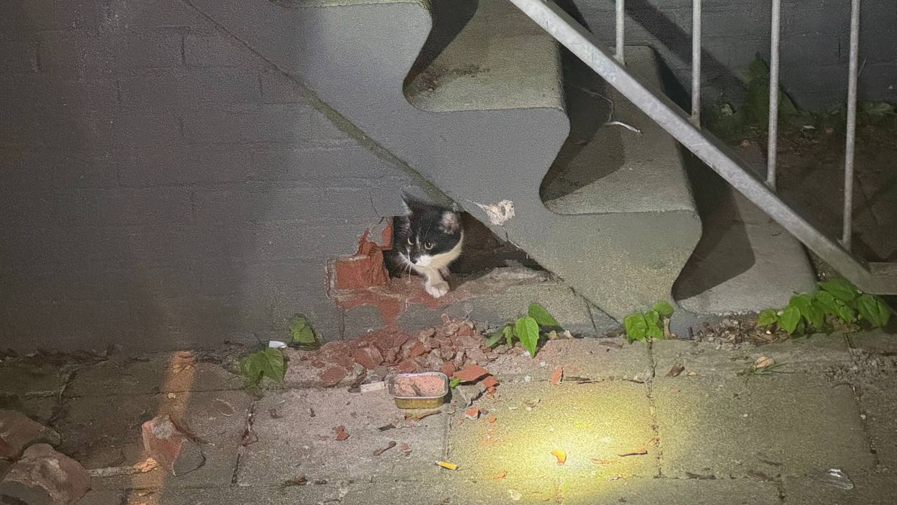 Foto: Dylan van Mourik