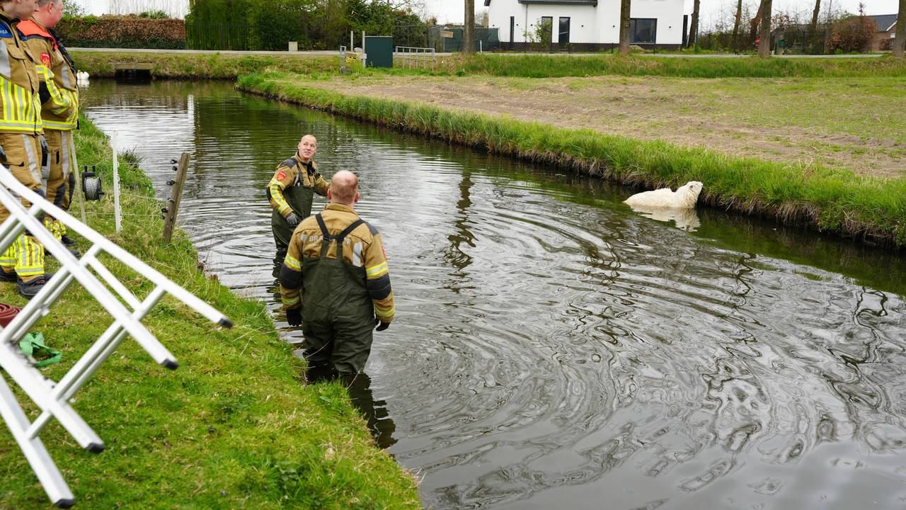 Foto: Erik Haverhals.
