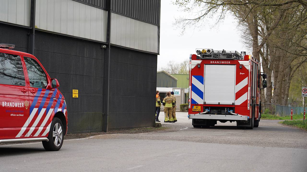 Foto: Jeroen Stuve/Persbureau Heitink.
