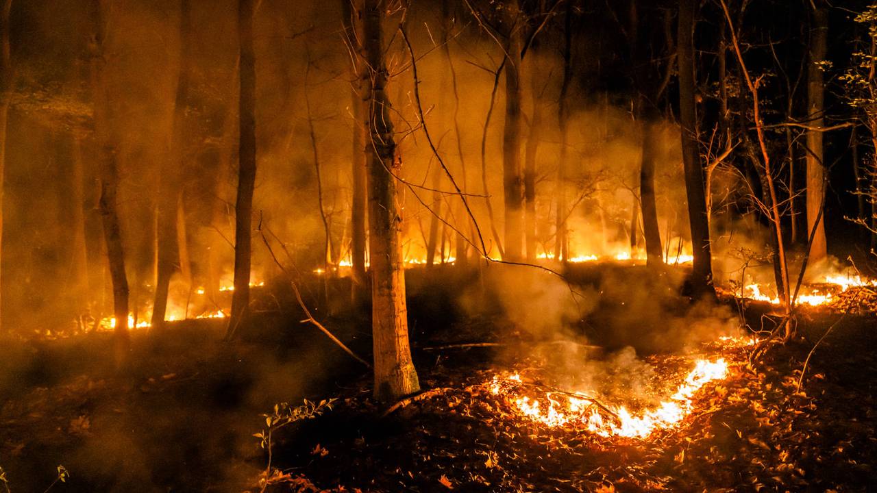 Foto: Dave Hendriks / Persbureau Heitink