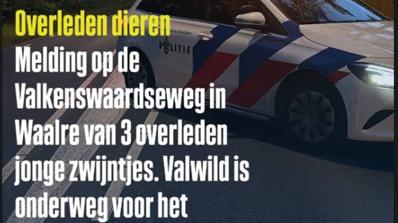 Foto: Instagram politie Valkenswaard.