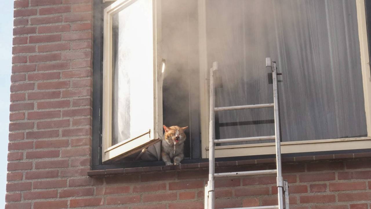 Foto: Harrie Grijseels/Persbureau Heitink.