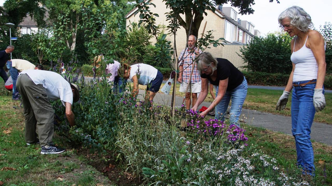 Onderhoud in het Hasselbraampark (foto: Els Schrik).