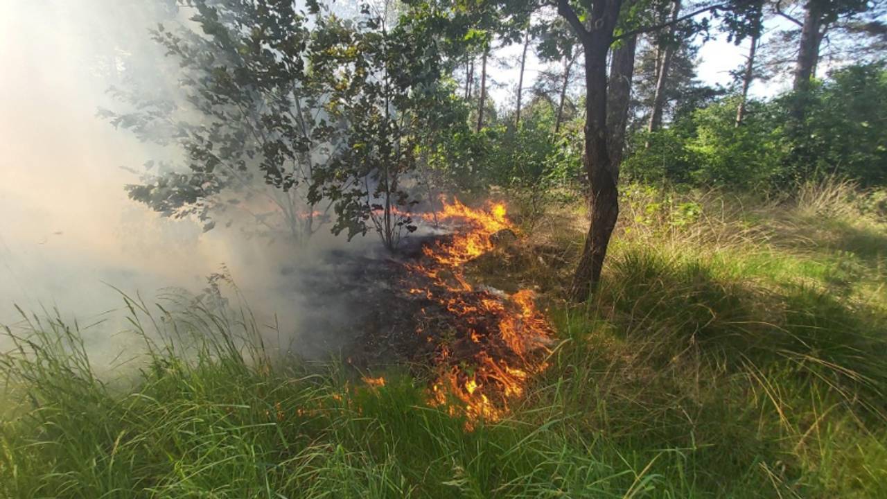 Foto: Cranendonck24.nl