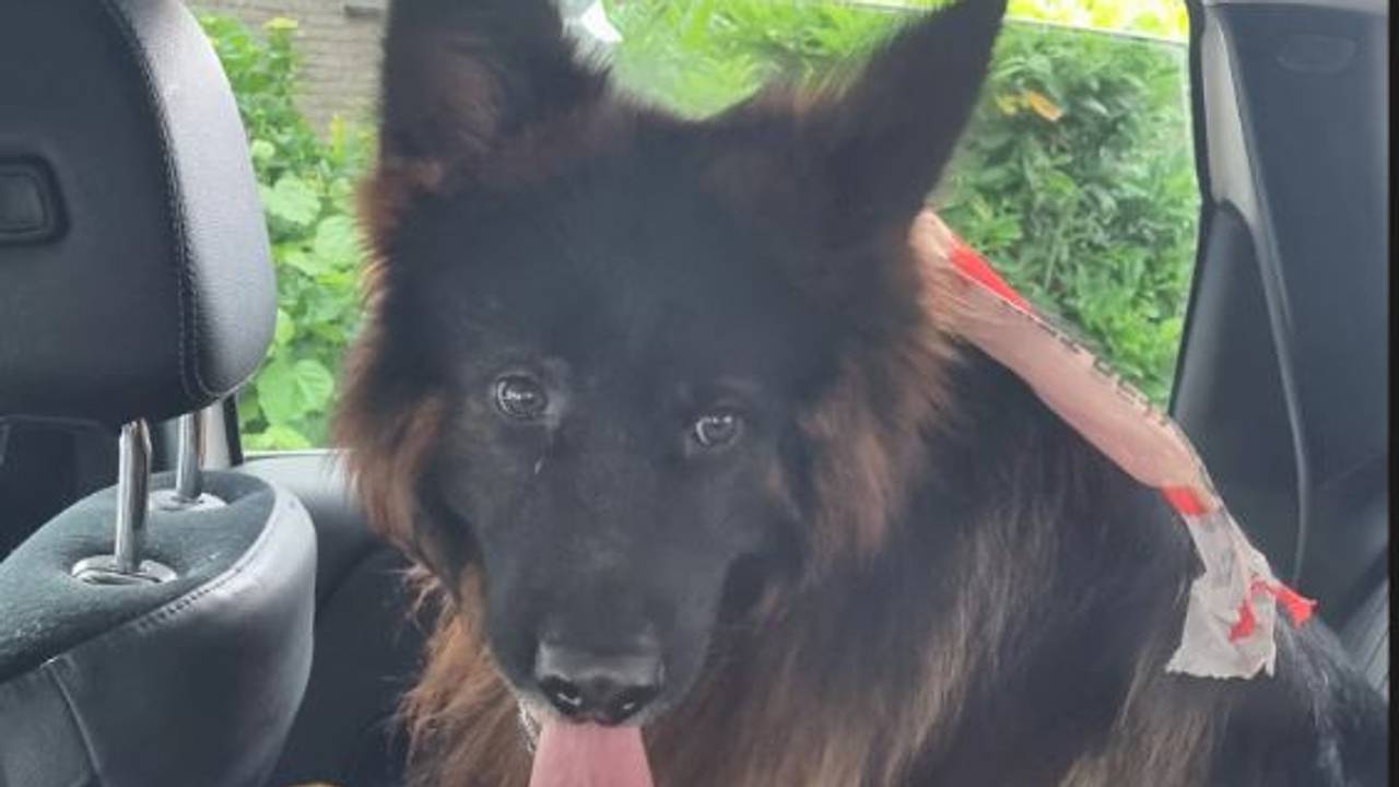 Foto: Instagram politie Tilburg-Centrum.