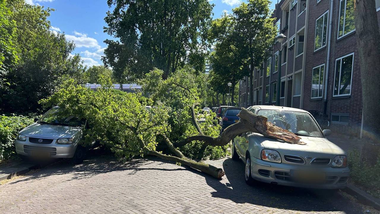 Foto: Persbureau Heitink