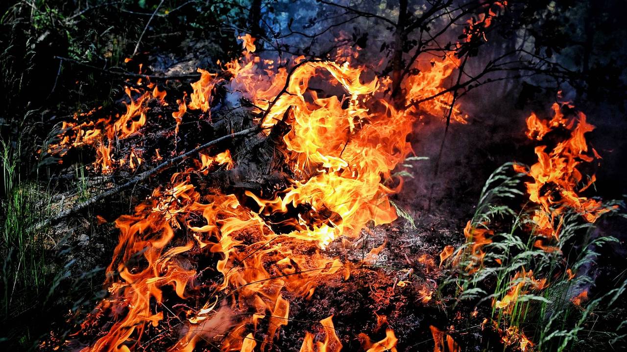 Foto: Toby de Kort / Persbureau Heitink