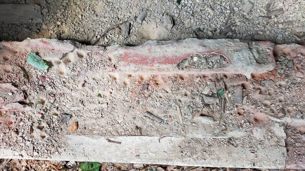 Trechterkuiltjes van mierenleeuwen (foto: Sonja van Driel).