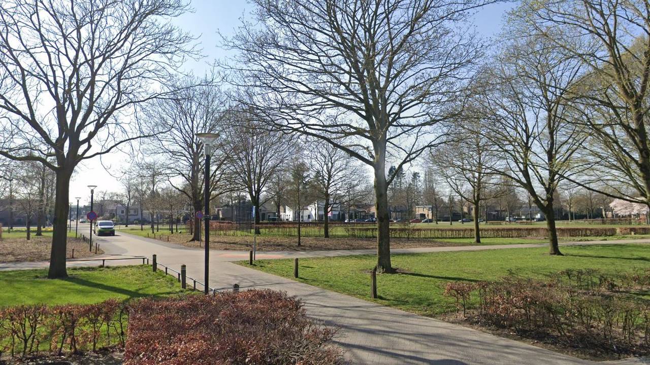 Het Bevrijdingspark in Uden, gezien vanaf de Meerloseweg (afbeelding: Google Maps).