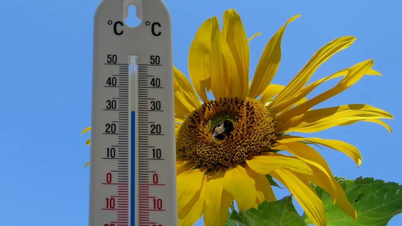 Archieffoto: Peter van der Schoot.