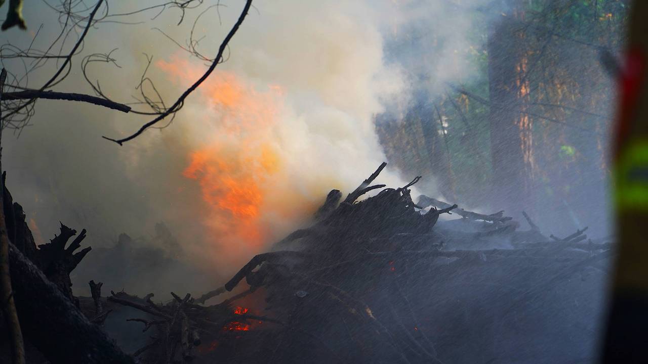 Foto: Jeroen Stuve/Persbureau Heitink.