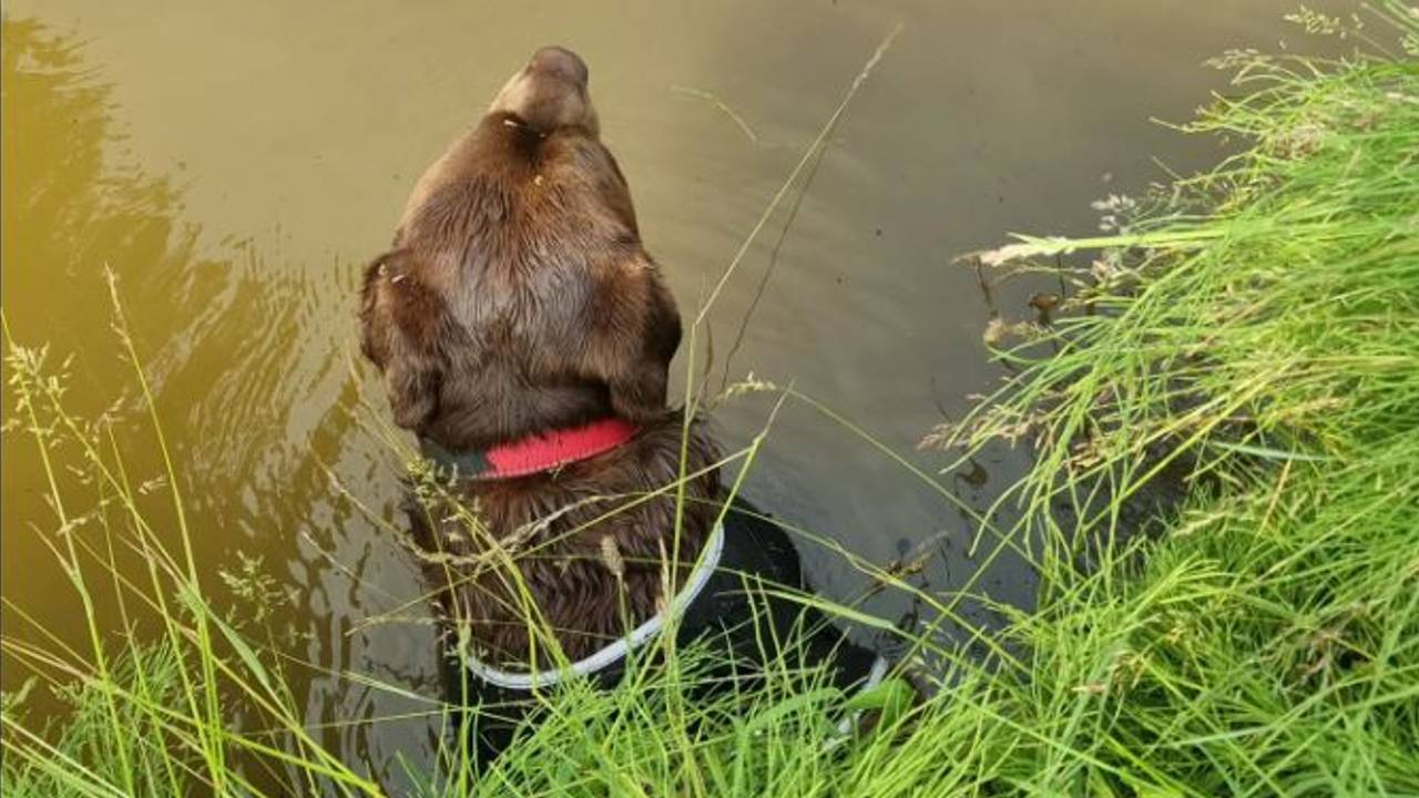 Foto: Instagram politie Langstraat.