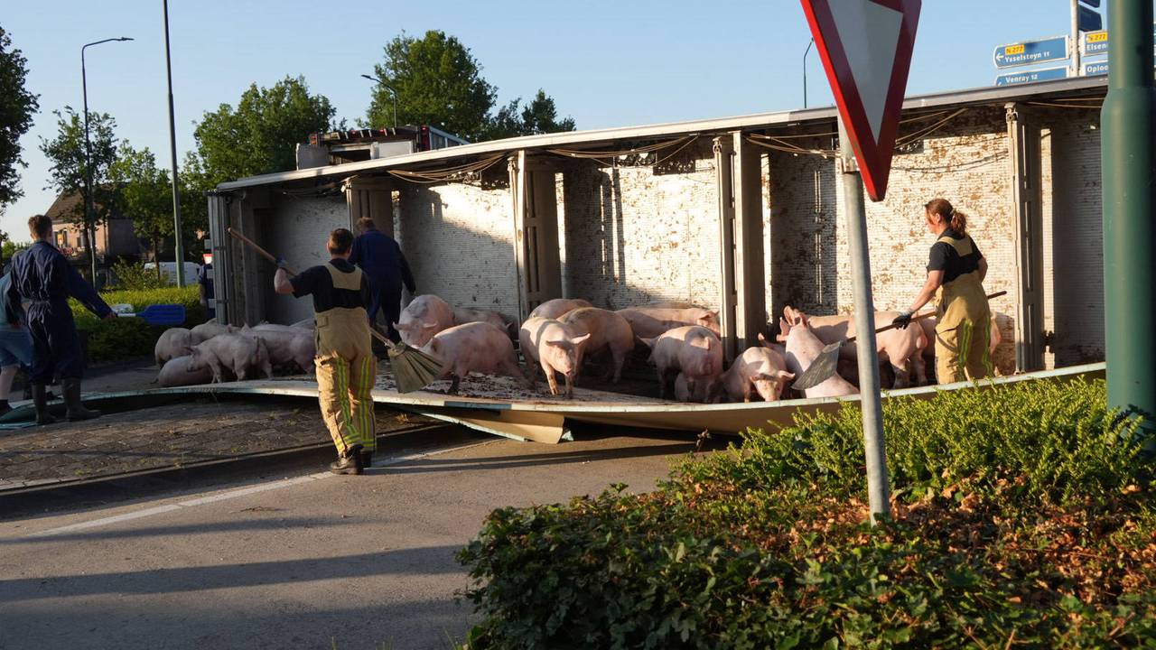 Foto: Harrie Grijseels/Persbureau Heitink.