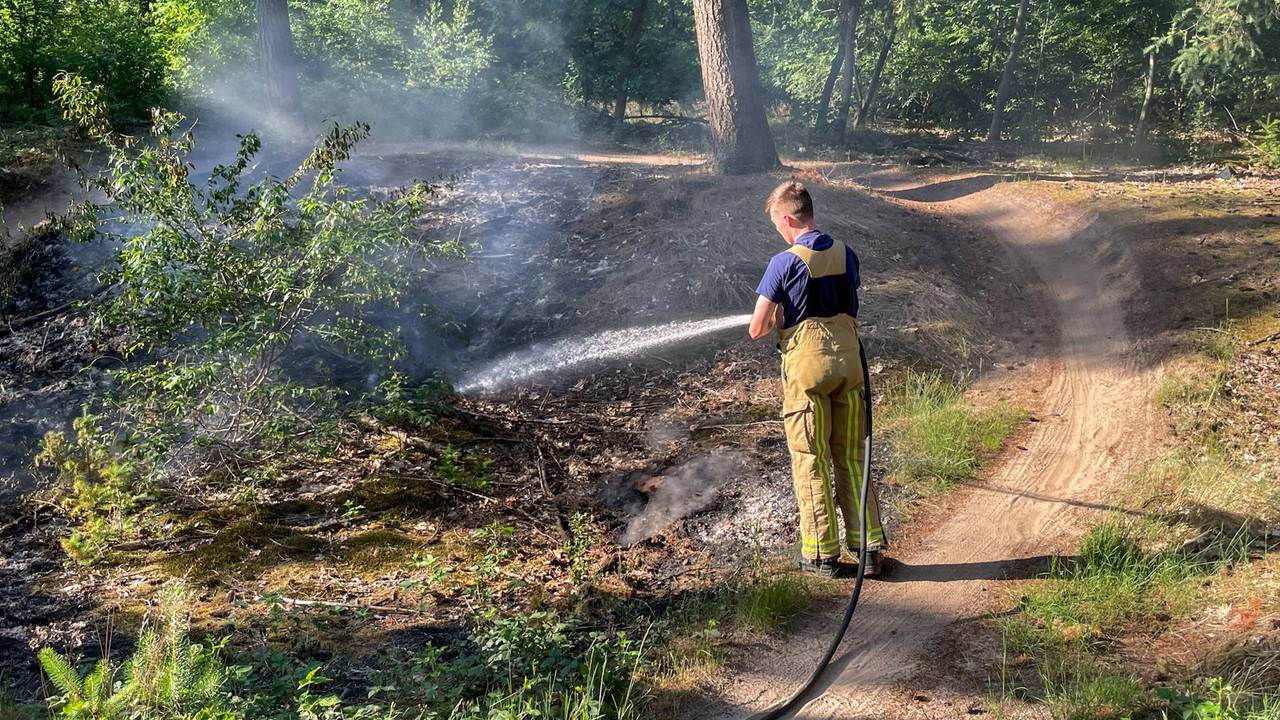 Foto: Harrie Grijseels/Persbureau Heitink.