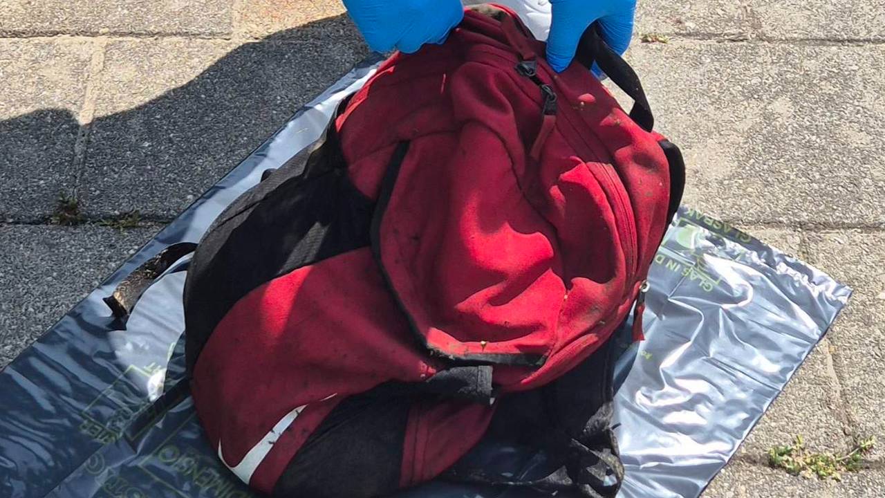 De rode rugzak met het dier (foto: dierenpolitie/X).