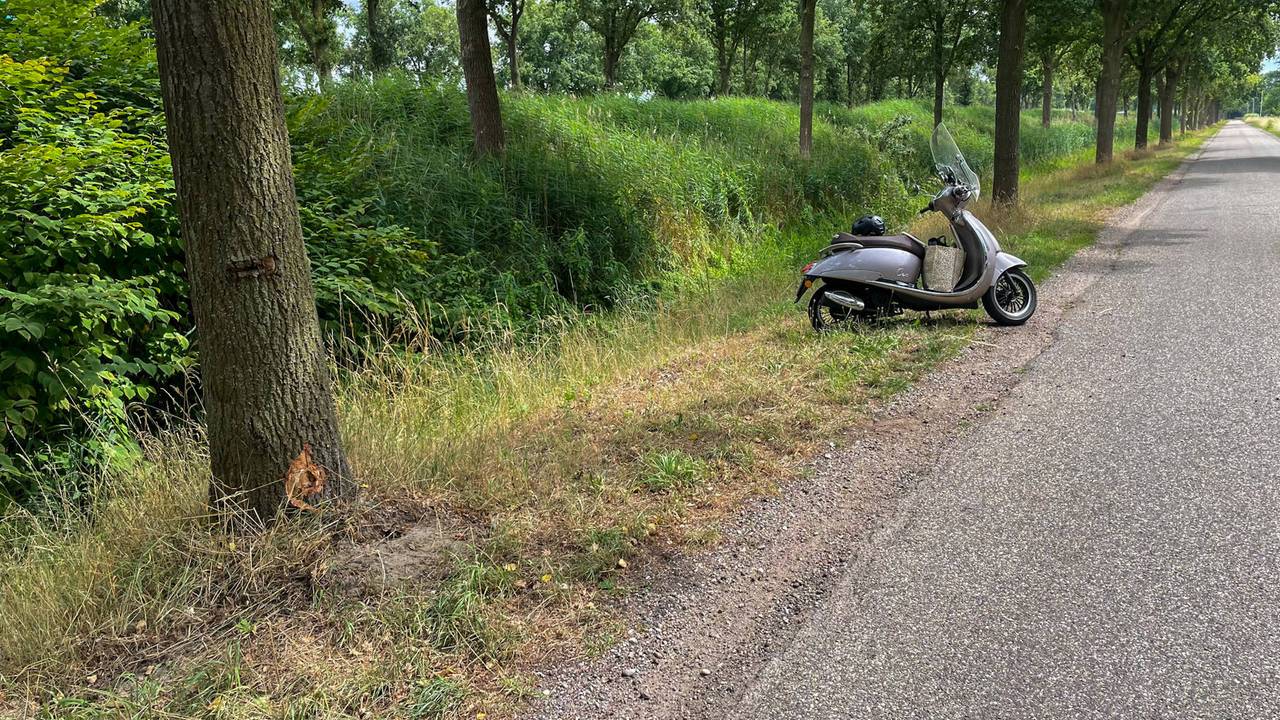 De scooter en de gehavende boom (Foto: Harrie Grijseels/ Persbureau Heitink.)