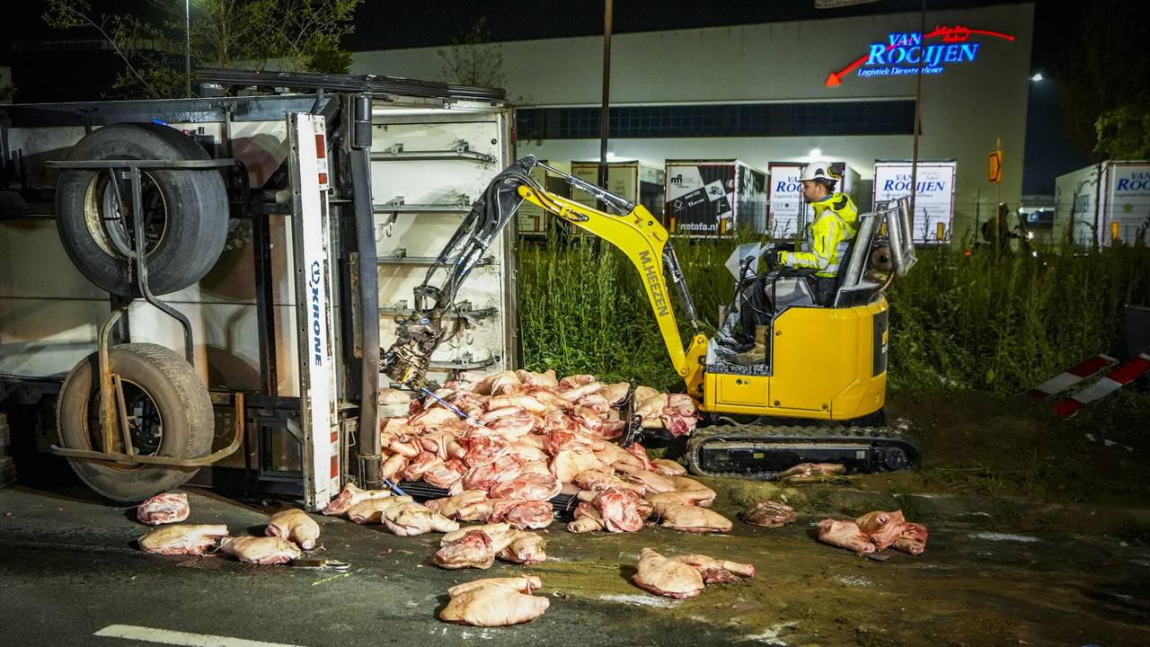 Vrachtwagen vol vlees kantelt, varkenshammen liggen op straat