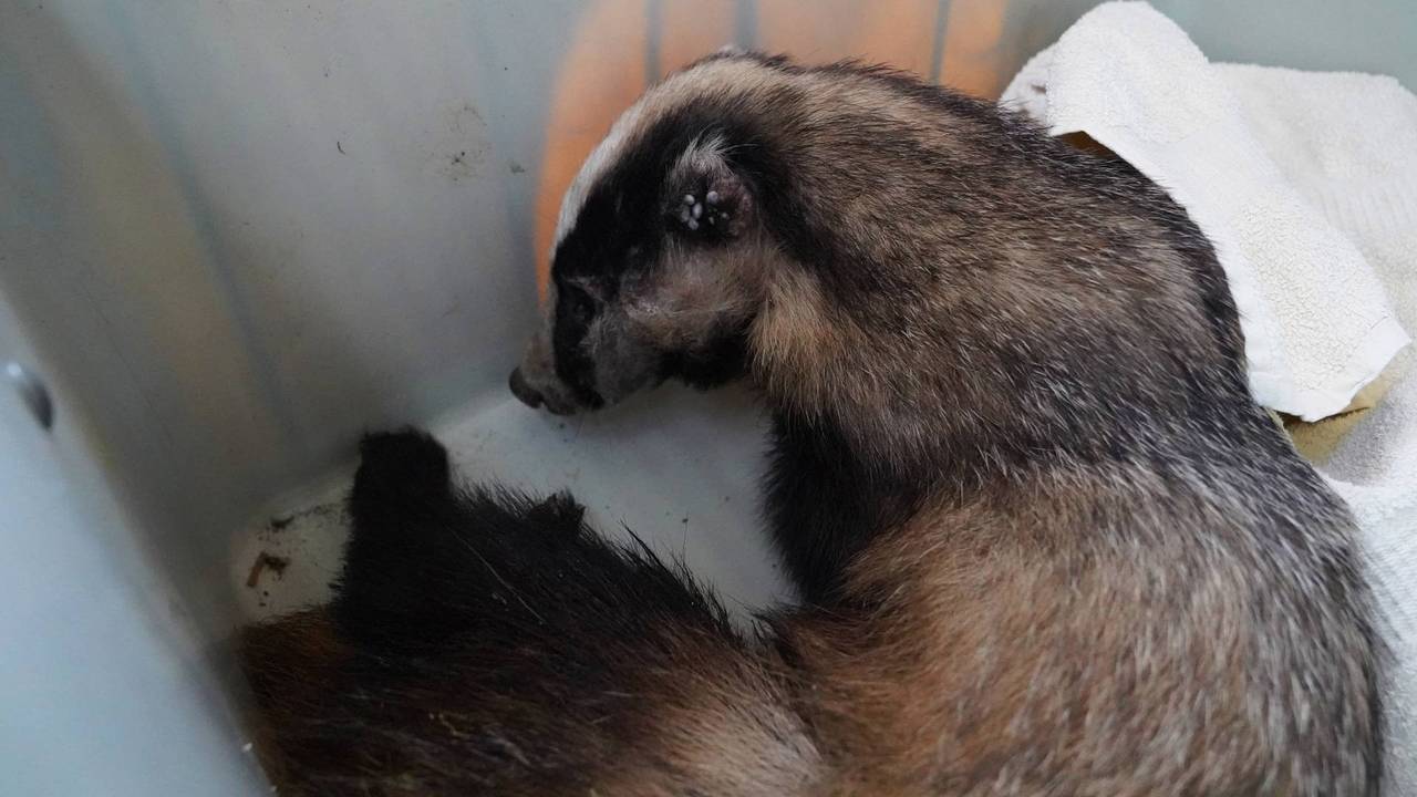 Foto: Bart Meesters/Persbureau Heitink.