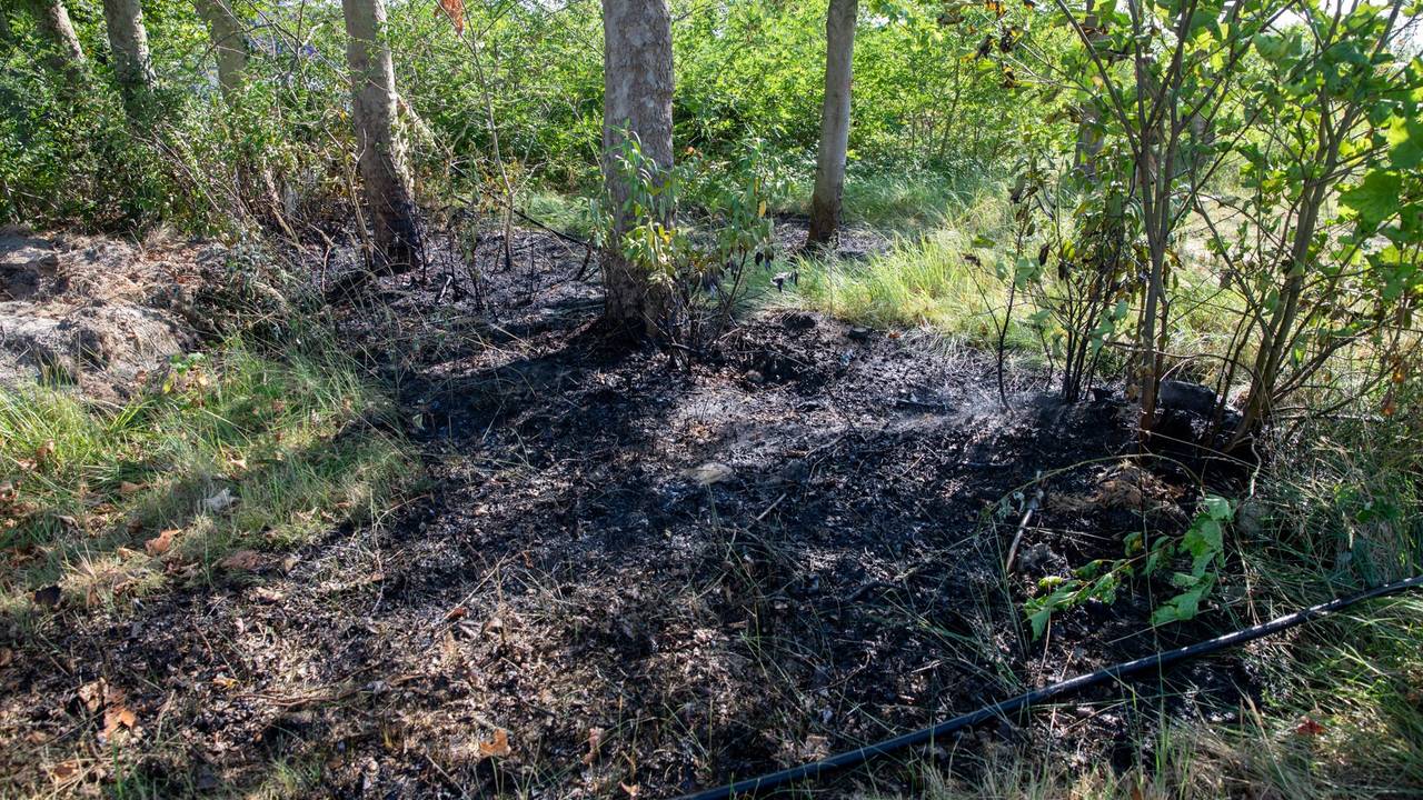 Foto: Christian Traets/Persbureau Heitink.