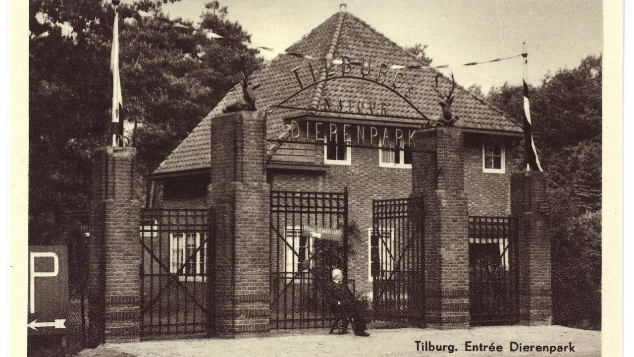Dierenpark Tilburg (foto: Regionaal Archief Tilburg)