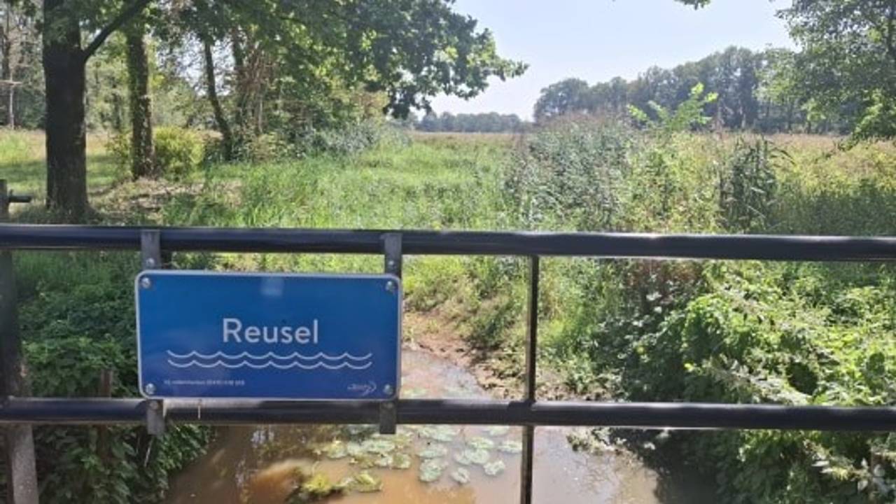 De Reusel in Landgoed de Utrecht stond bijna volledig droog (foto: Waterschap De Dommel).