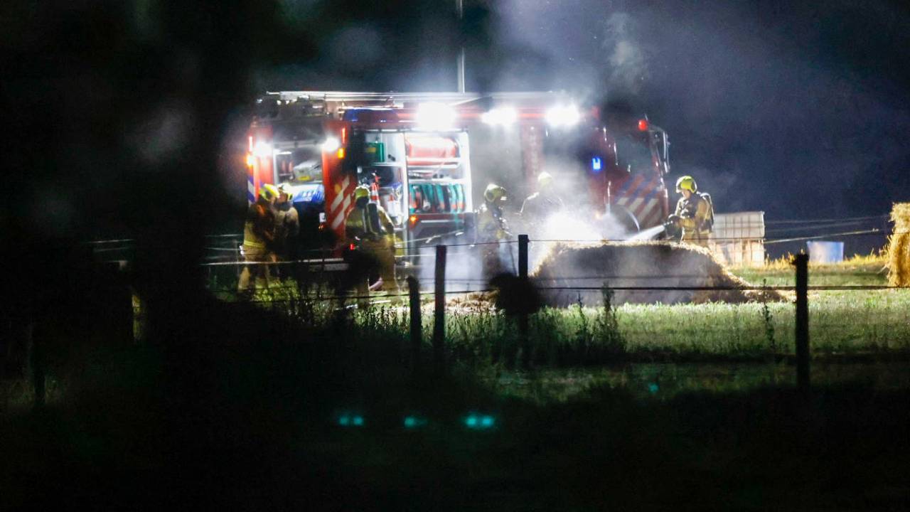 Foto: Addy Smits/Persbureau Heitink.