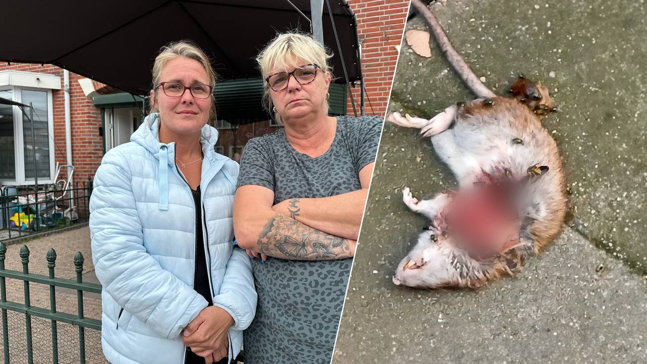 Franciska en Colinda zijn de rattenoverlast in hun wijk spuugzat (foto: Ronald Sträter).