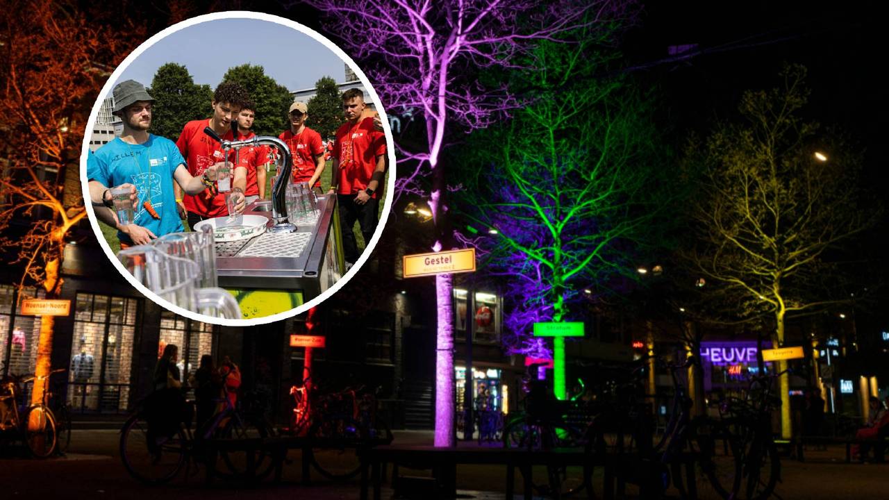 Zo zagen de gekleurde bomen er in Eindhoven uit (foto's: ANP/Fama Volat)