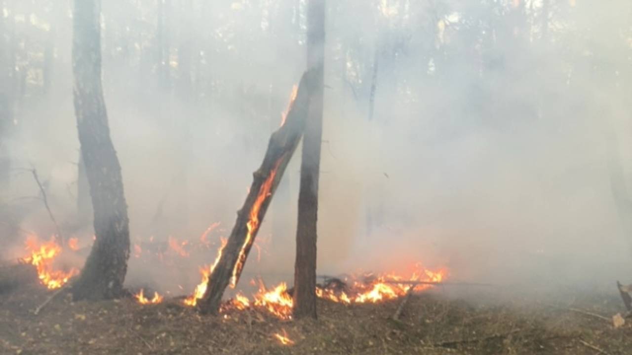 Foto: Veiligheidsregio Midden- en West-Brabant