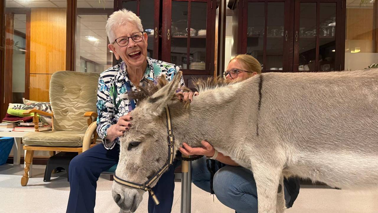 Ezel Fayke houdt van ouderen (foto: ZuidWest TV).